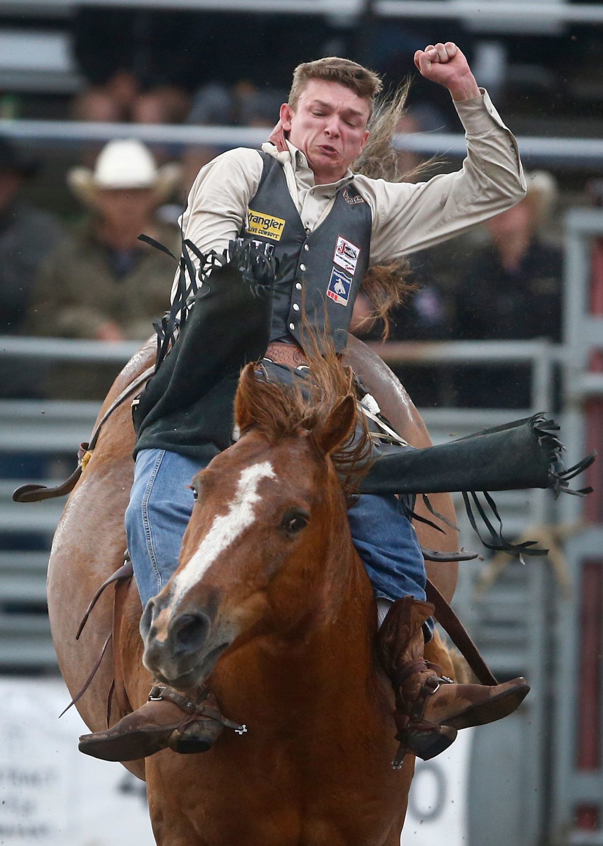 Home of Champions Rodeo